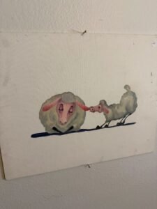 img 2787
